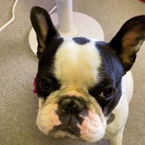 Meet your Posher, Michelle